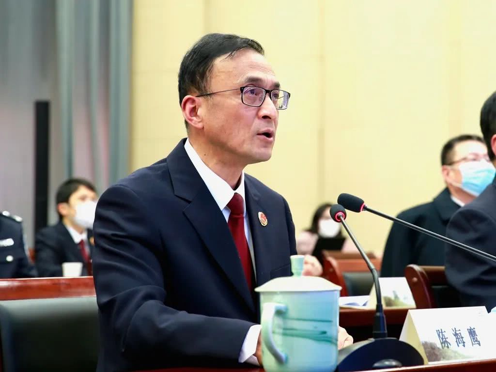 从稳中求进到行稳致远:陈海鹰检察长交流发言实录