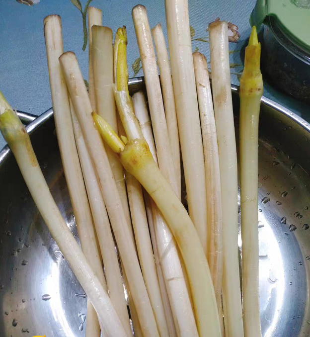 碰到这菜买一捆,8块钱一斤,补血淡色斑,皱纹不见了,皮肤变红润