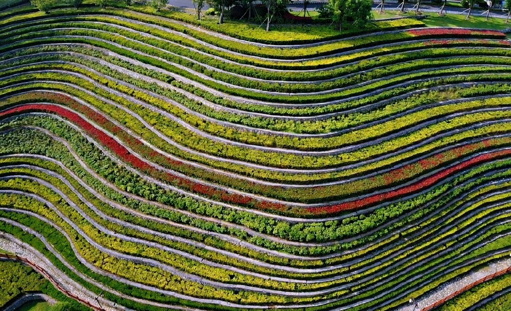 中国最美的人造景观,贵州这座城中花海梯田火了