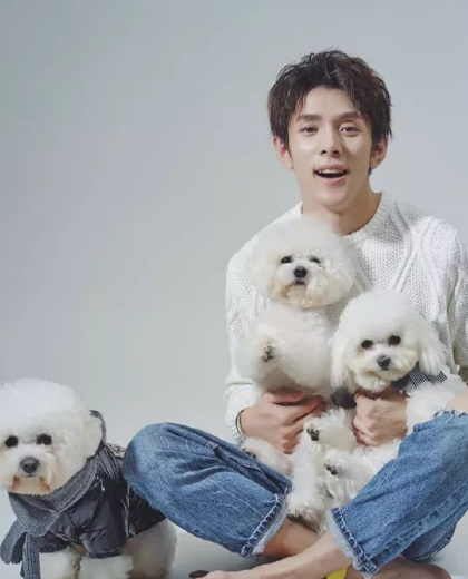 高圆圆,李佳琦,直播,演员