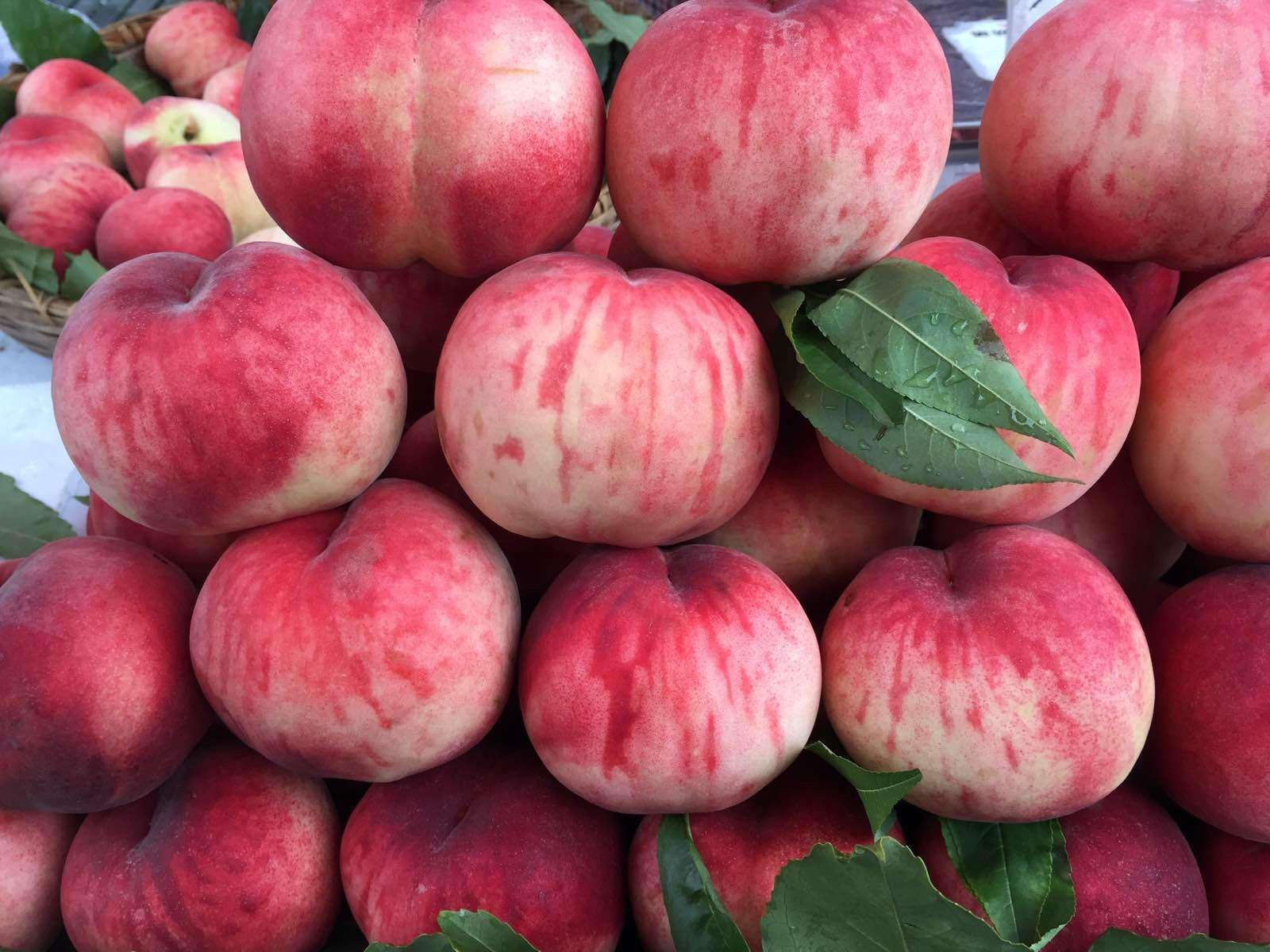 买水蜜桃时,怎样挑到好桃子?掌握这4点,桃子个个味甜汁水足