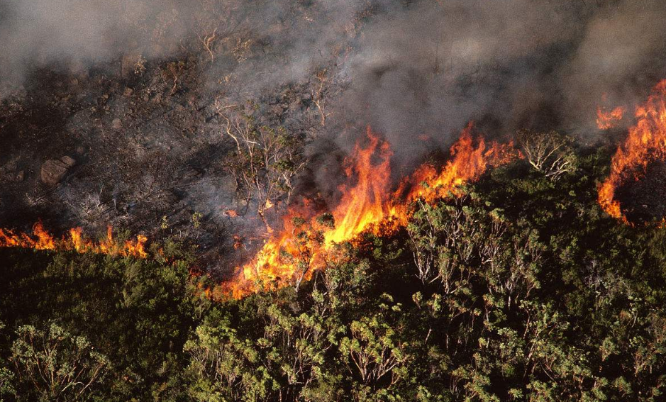 澳大利亚高温天气导致大火继续蔓延,46万公顷土地被夷为平地