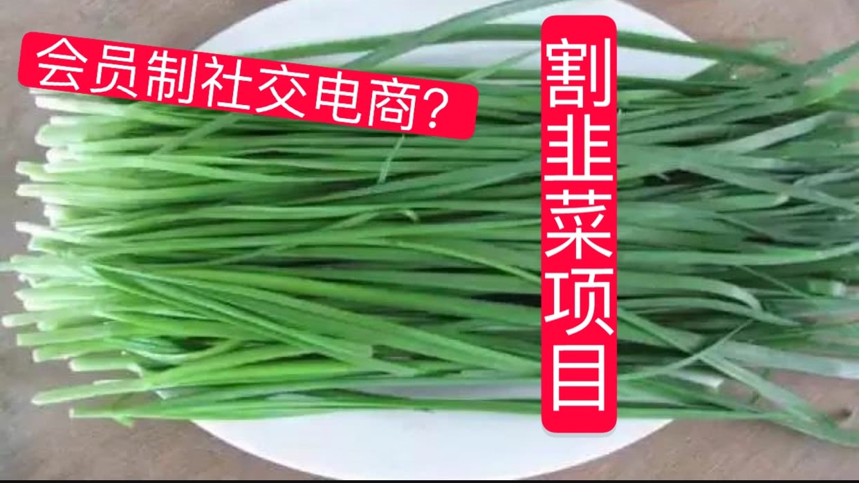 会员制社交电商收会费算不算割韭菜?