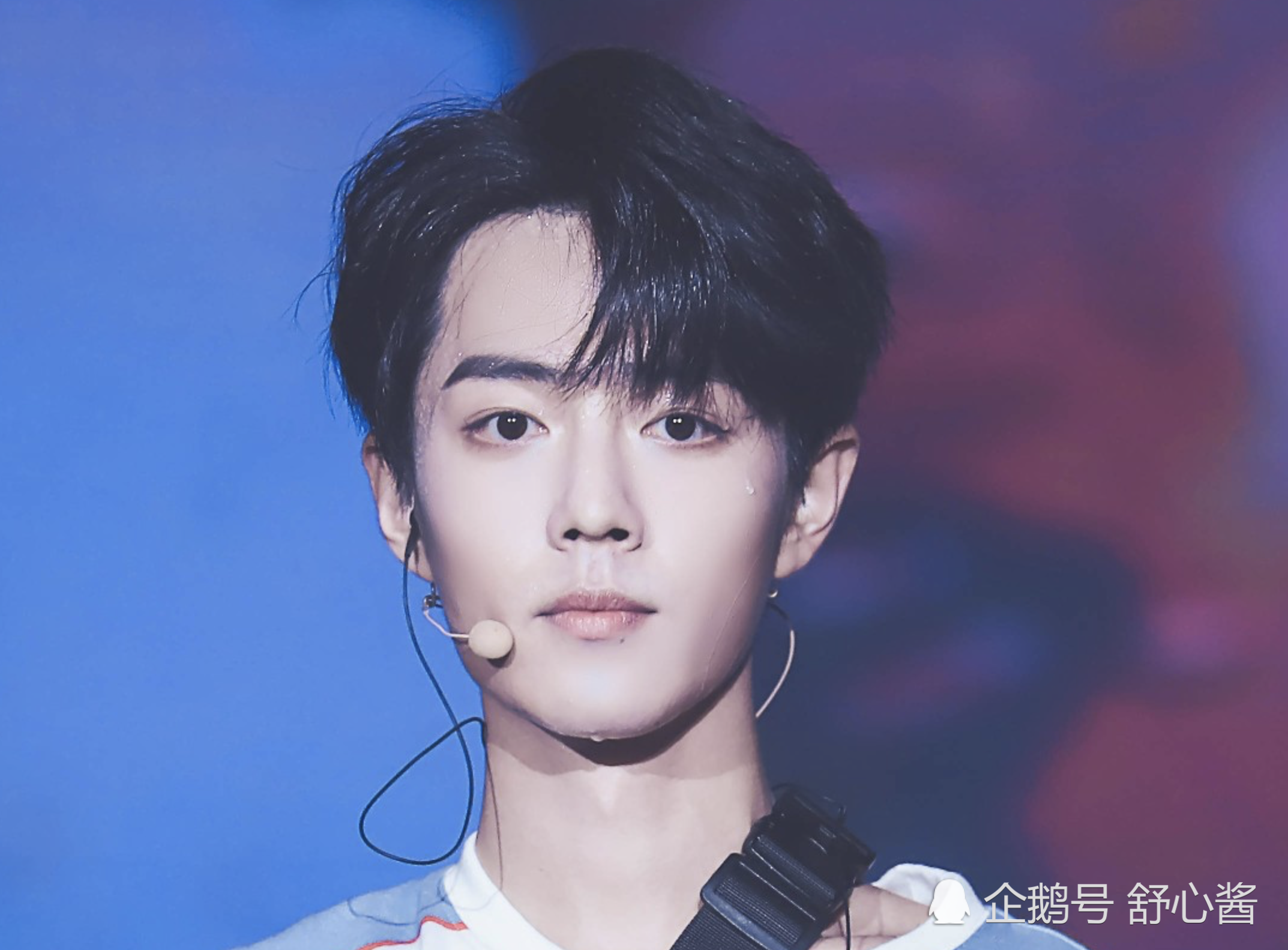 陈情令,镇魂,凤于九天