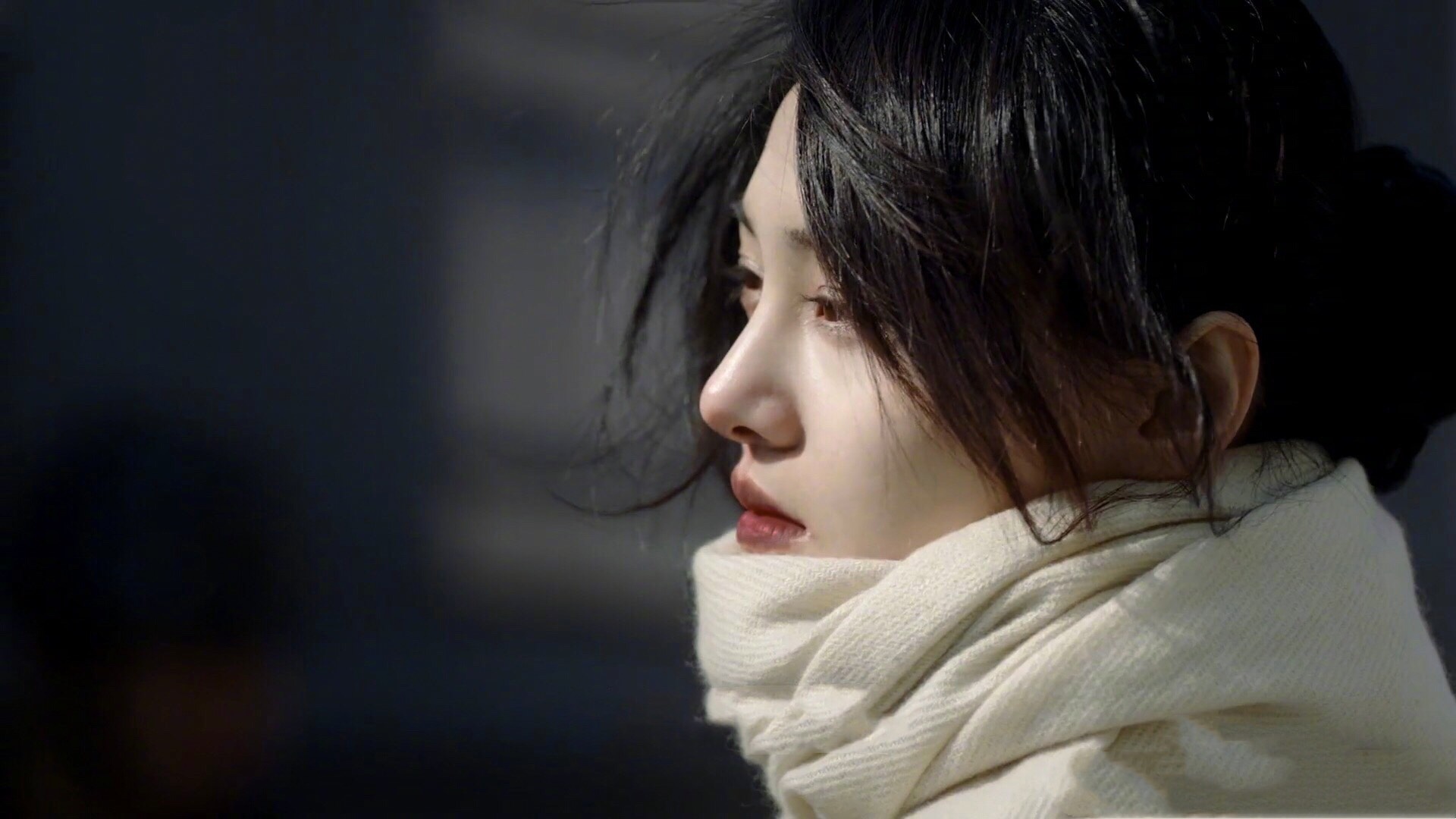 郑爽,绝密者,南烟斋笔录,刘亦菲