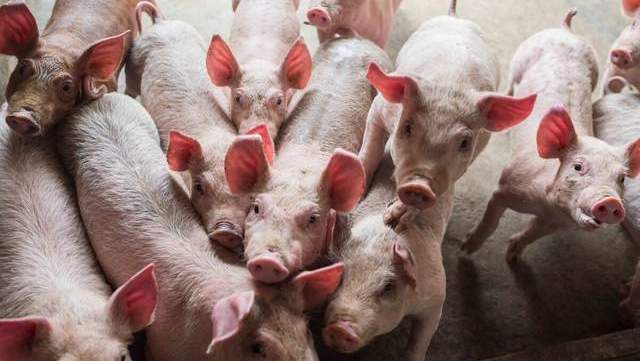 ��������۸�_�����Ｙ�۸���ռ�_����۸�������Ǽ�