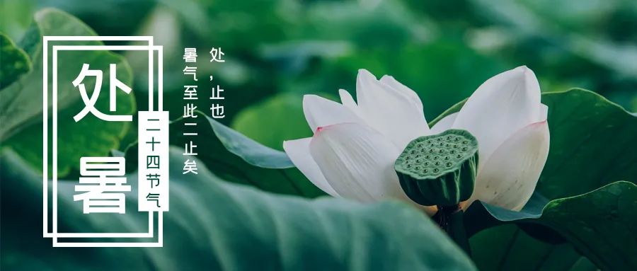 处暑,三伏,气温,时节,南风,初秋,开渔节,放河灯