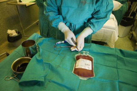 为什么骨髓捐献者和被捐者,一辈子不能见面?真相让人不免心寒