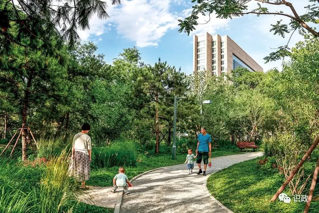 城市森林,城市,森林,北京,城市森林公园,公园,北京,新中街
