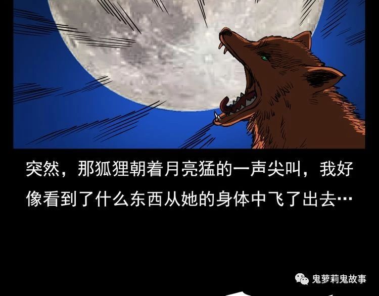 ��51��  �����ɹã�