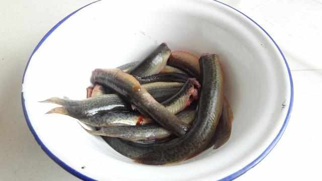 1.新鲜泥鳅去头去肠清洗干净