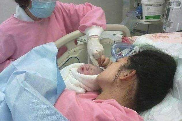 万千家庭!包个女人生个孩子多少钱"枝叶扶疏"-第2张图片-玫红博客