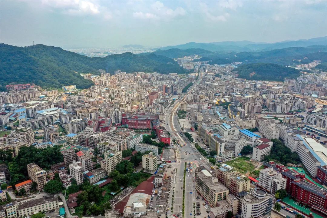 白云区,党组织,大源村,基层党组织,整顿,基层