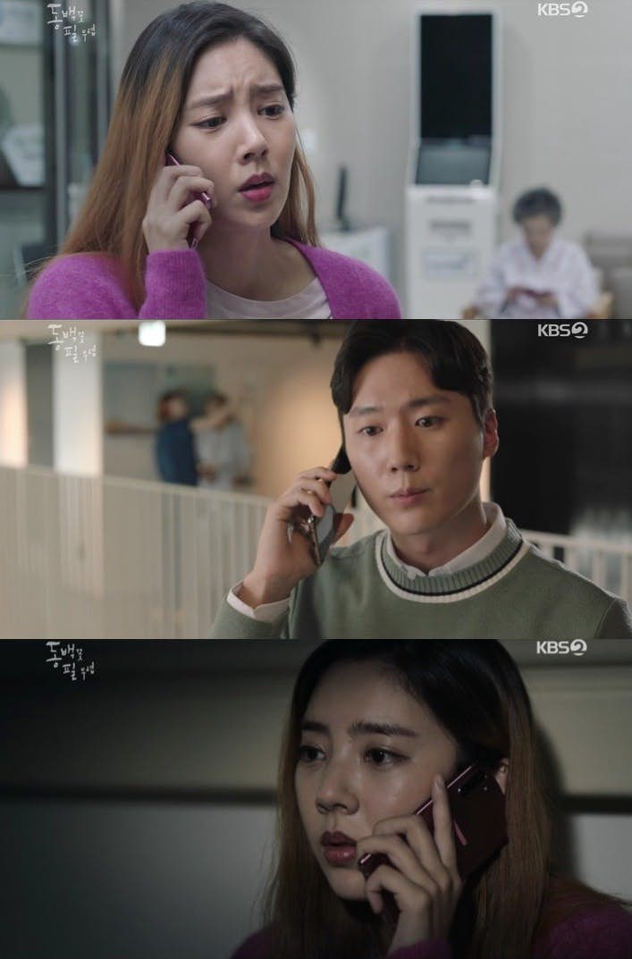 《山茶花开时》剧情烧脑!"死者"和"喂猫人"身份揭晓