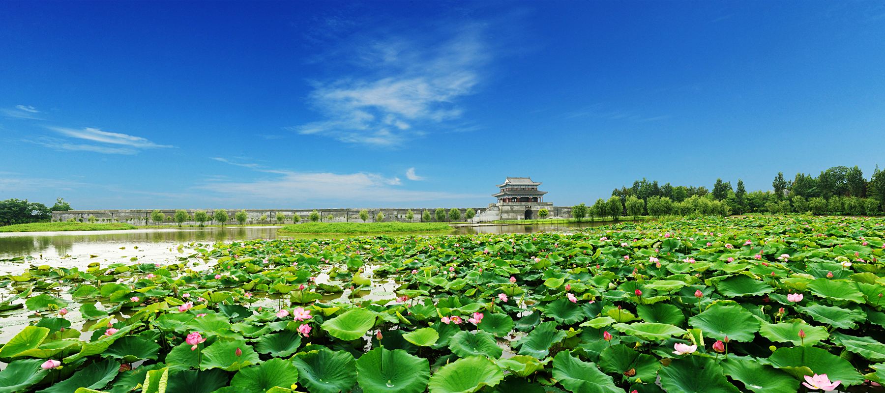 沔城:古荆楚人生活的地方,湖北省唯一的回族镇