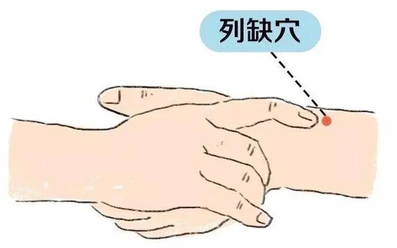 倪海厦：一篇文章学会补泻手法，两个故事讲解肺经的虚实治疗