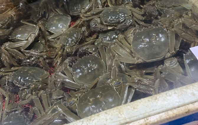大闸蟹,诸暨,螃蟹