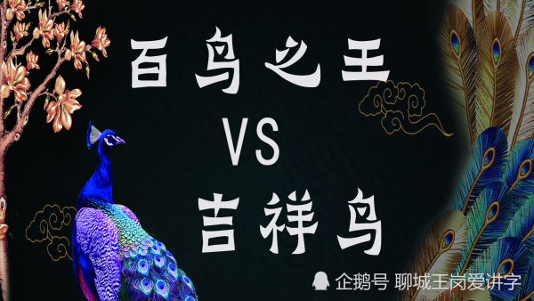 文化解析 凤凰和孔雀是一回事吗 谁是百鸟之王 神话与现实