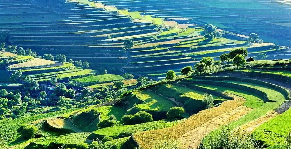 定西,走过初夏只为你