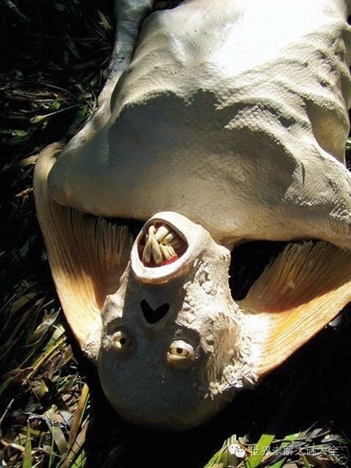 黑鳞鲛人真的存在吗?揭黑鳞鲛人神秘面纱