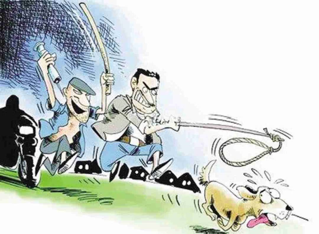 漳浦县公安局盘陀派出所民警在 案发后数小时内抓获两名盗贼,破获系列