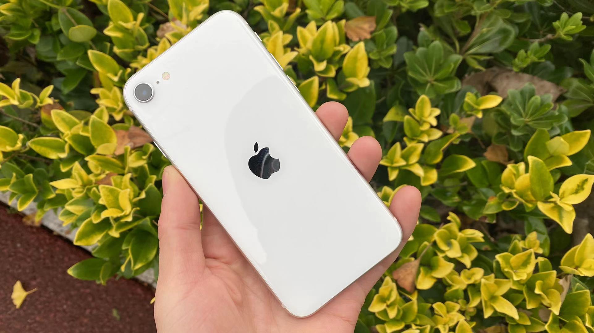 appleiphonese(appleiphonese2怎么样) - 爱丽百科知识