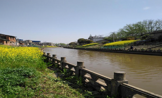 汤沟,苏杭,高老,枞阳镇,白荡湖,船老大,双溪,枞阳