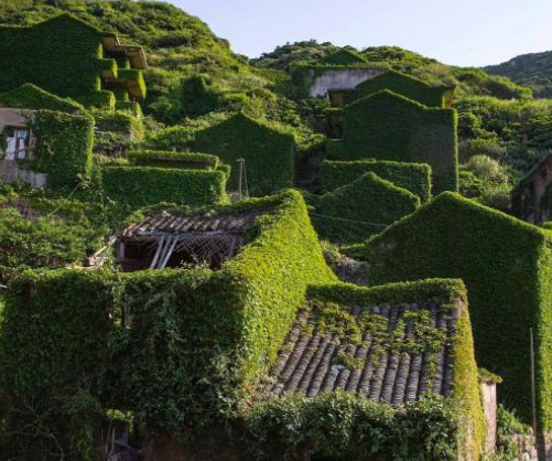 舟山"绿野仙踪"无人村,不仅成网红景点