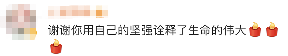 14岁高龄“猪坚强”离世，遗体已被冰冻