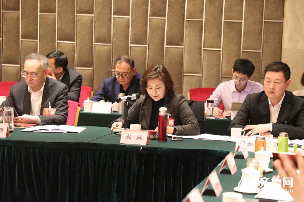 省人大代表杜琳:推进"市校融合" 为地方产业发展服好务