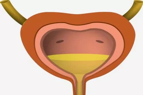 祁营洲:如何理解膀胱为"津液之腑"?