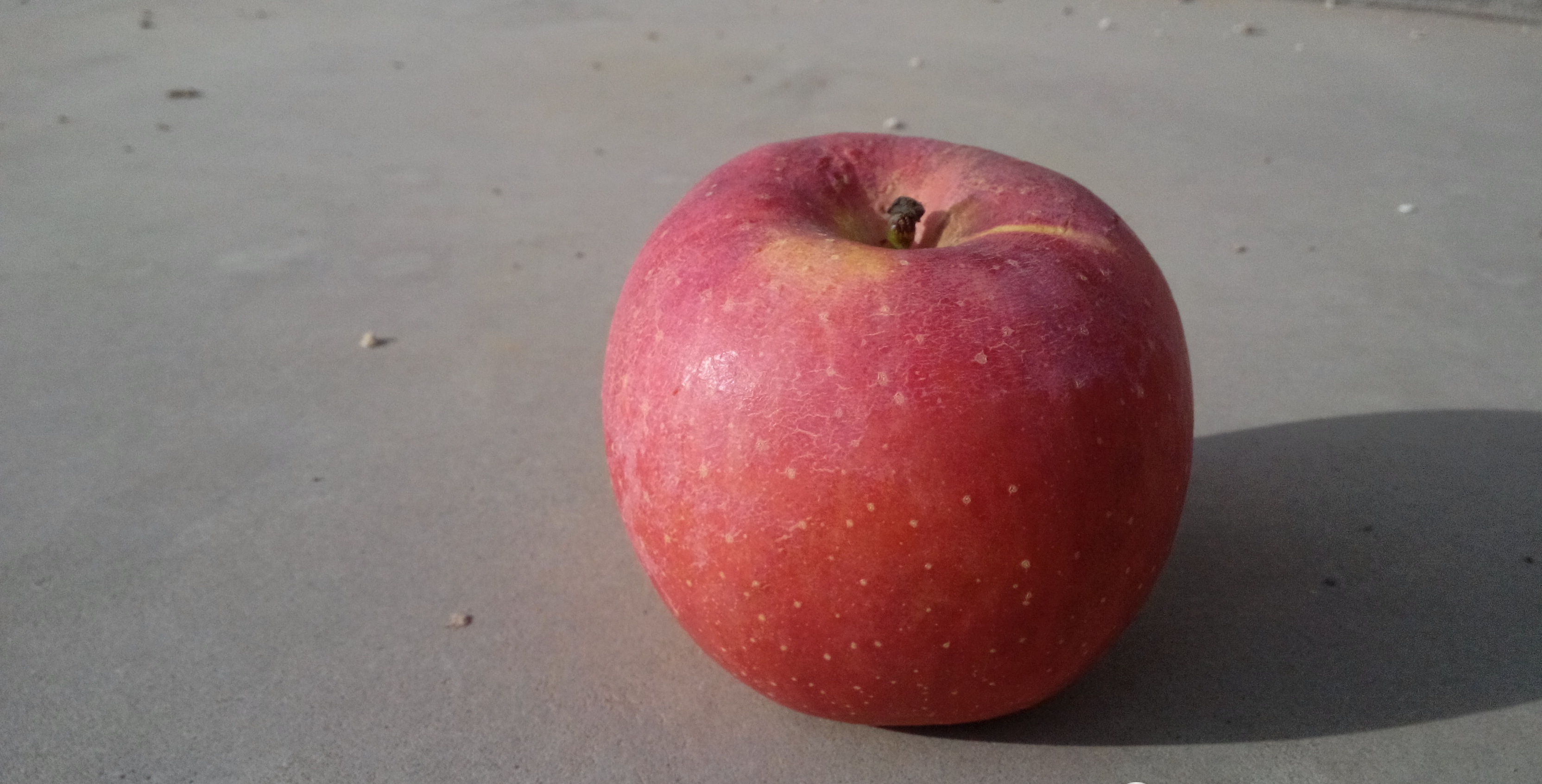 防治苹果病害,请参考这份《防治药剂清单》!