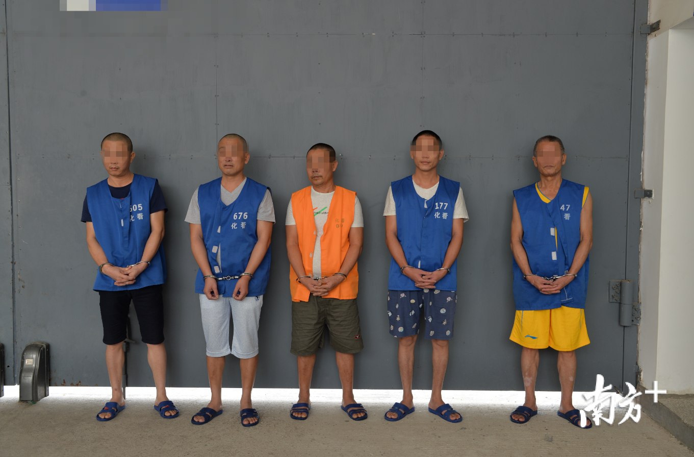 化州打掉涉黑恶团伙40多个,抓680多人!6起典型案例曝光