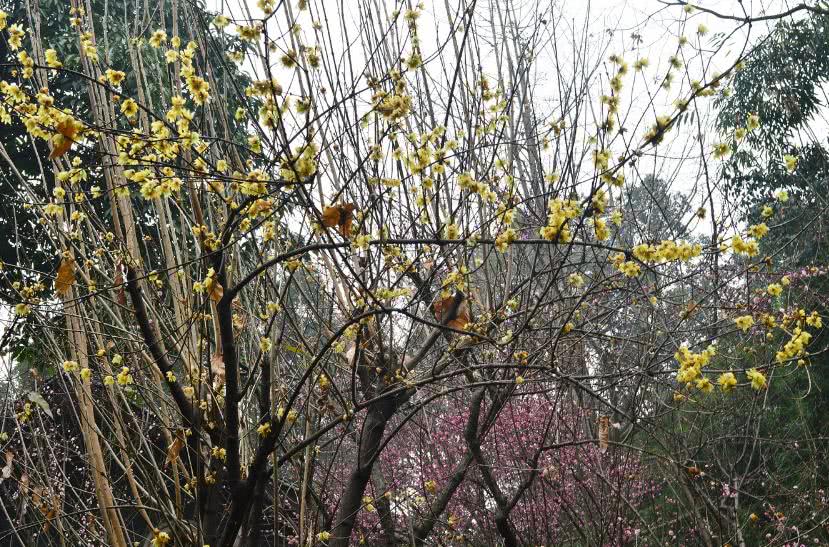 内蒙古这座大黑马城市,它的名字还是"最萌"的,你知道是哪里吗