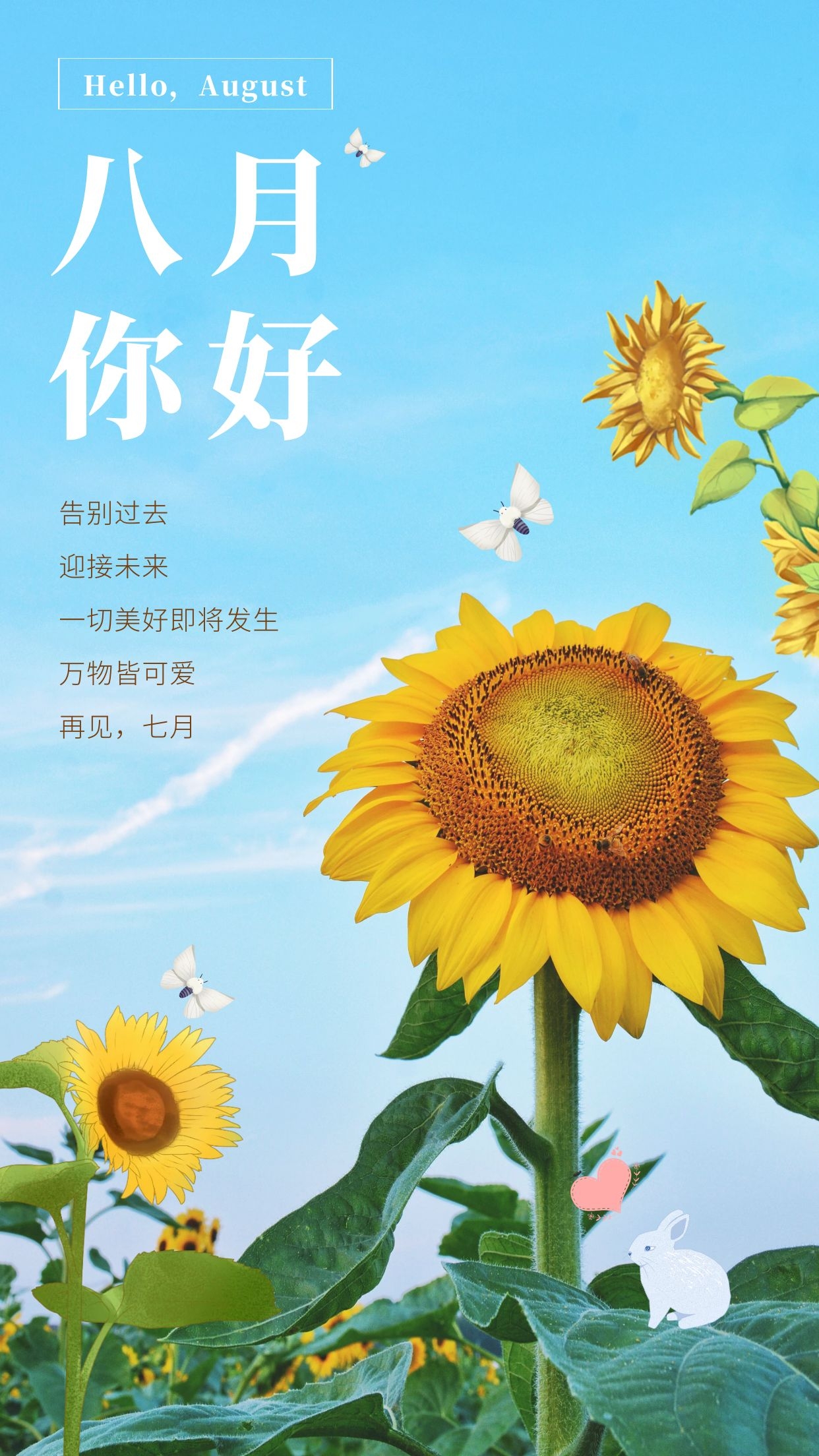 12,愿八月的好运