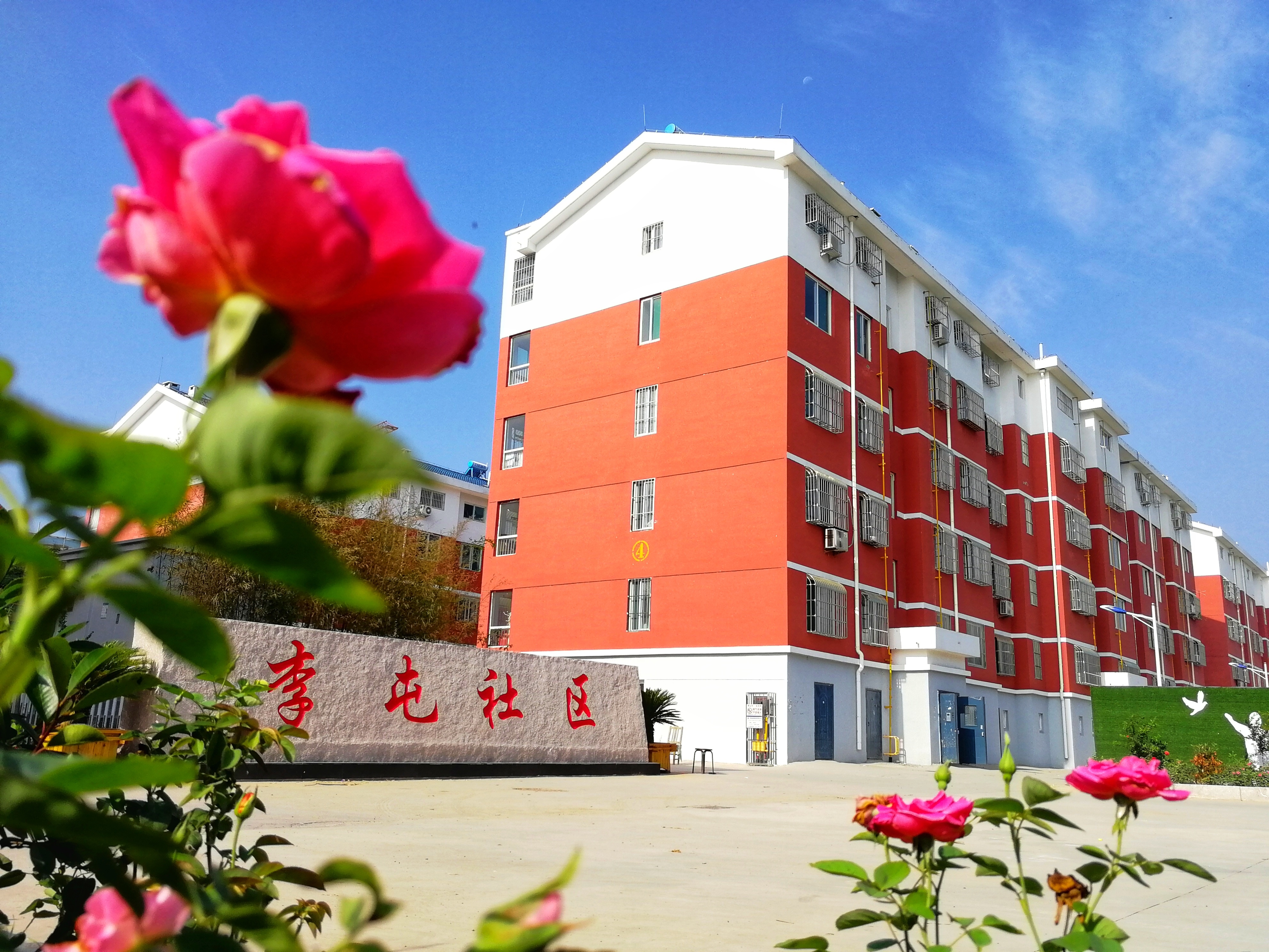 禹城网站建设源码_(禹城工程招标信息网)