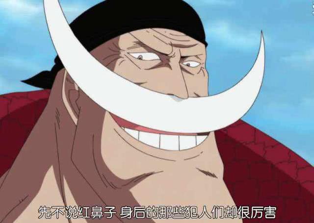 小丑巴基,香克斯,海贼王,四皇,巴基,多弗朗明哥,王下七武海