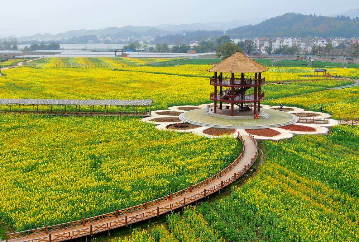 冷杉良田花海影视基地实景