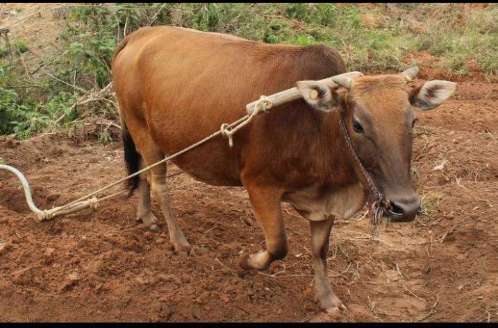 潜规则一:老实人会多干活.