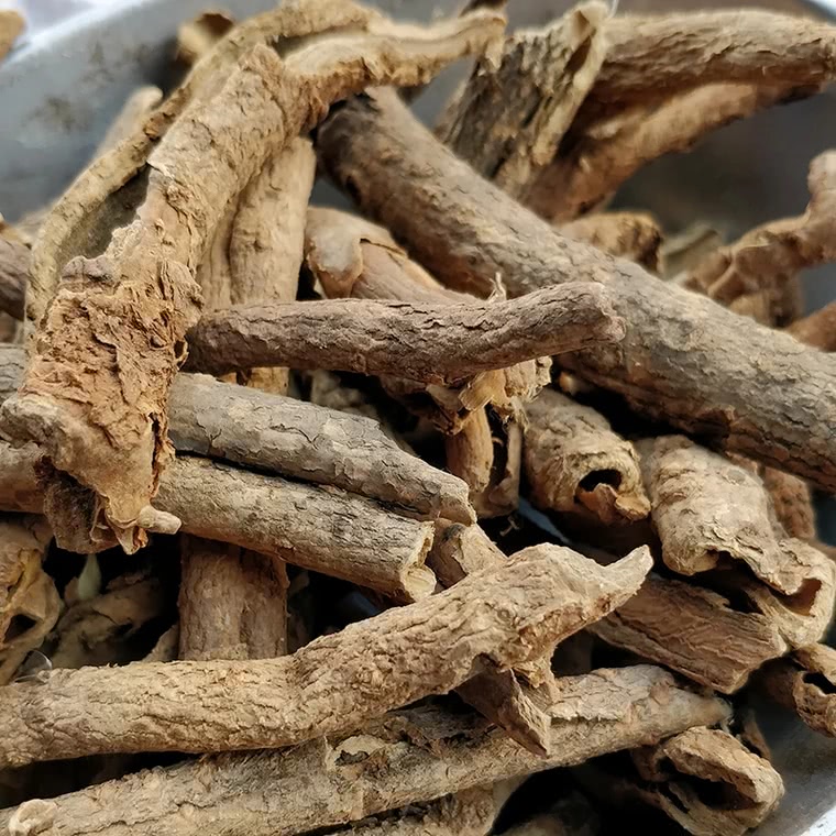 每日学习一味中草药-五加皮