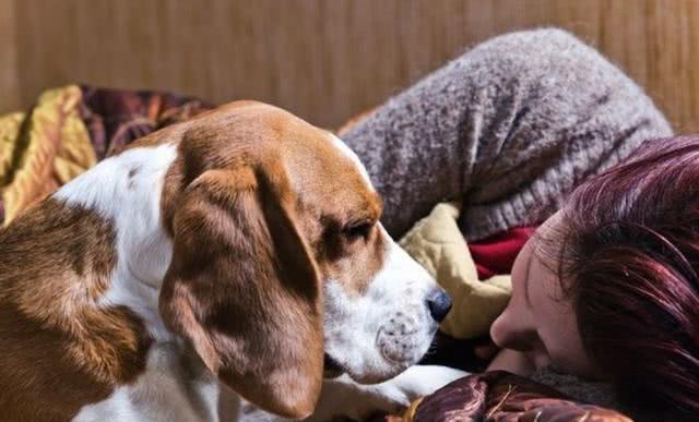 主人伤心难过哭泣时,你家狗狗会陪着你吗?