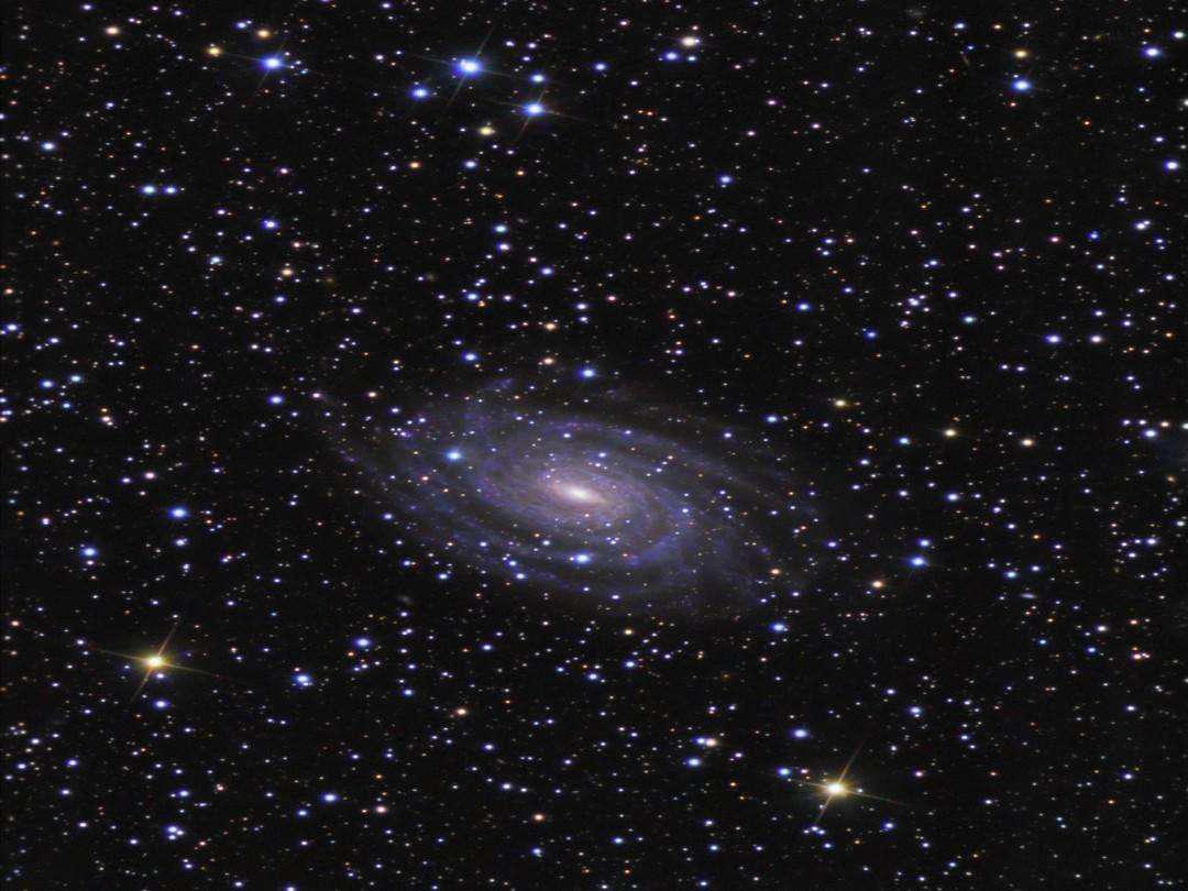 8月12日狮子座每日星座运势