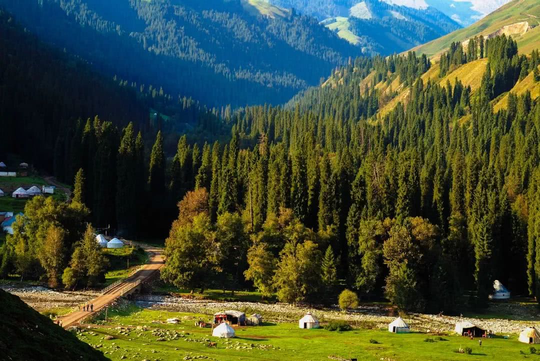 新疆巩留恰西风景区