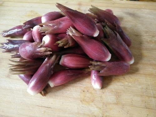 此野菜有特殊香味 滋阴补肾 补气血 清理肠道垃圾 谁食谁受益