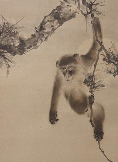 猎人,武平,猿子,嗟夫,小猿,猿猴,文言文