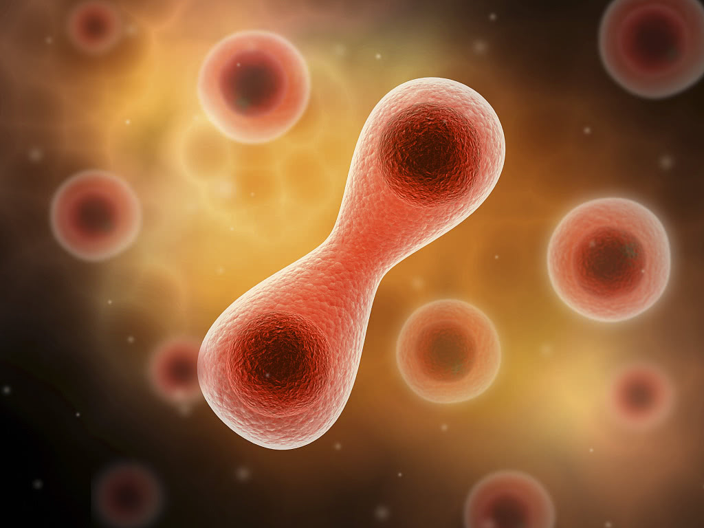 国际上螺旋藻提高机体免疫力及抗病毒活性的研究与运用