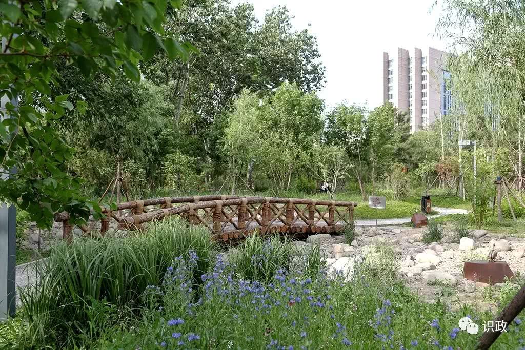 城市森林,城市,森林,北京,城市森林公园,公园,北京,新中街