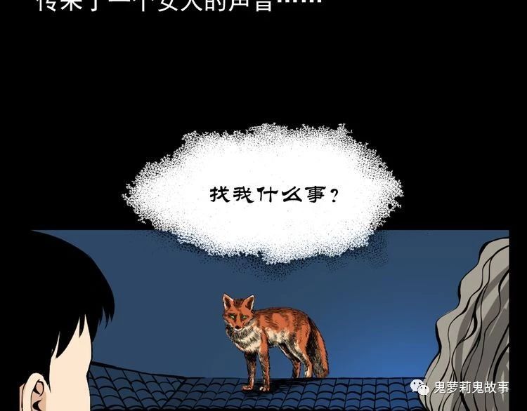 ��51��  �����ɹã�