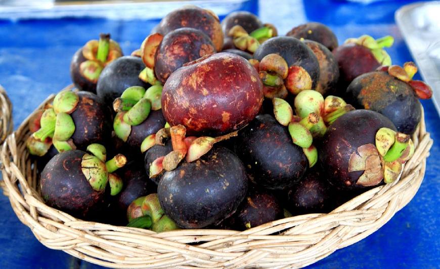 它为何被称夫妻果在泰国又被称为果后