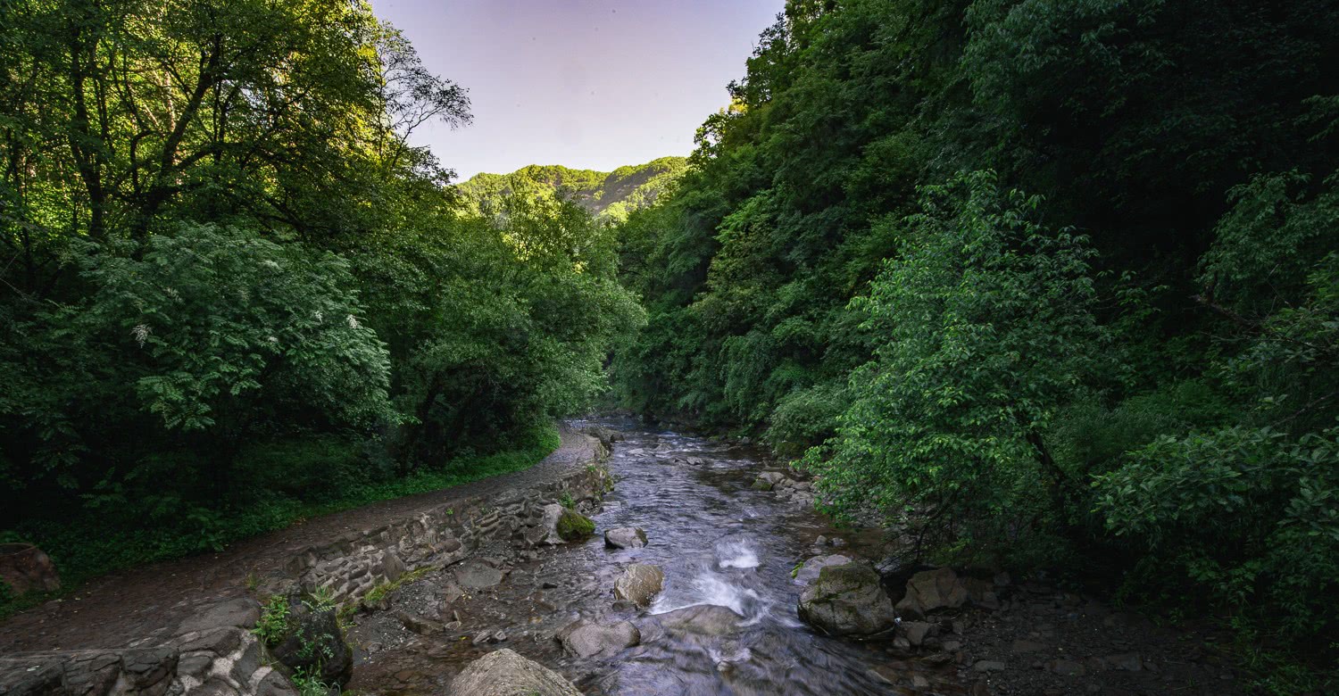 世外桃源,六盘山国家森林公园,九寨,宁夏